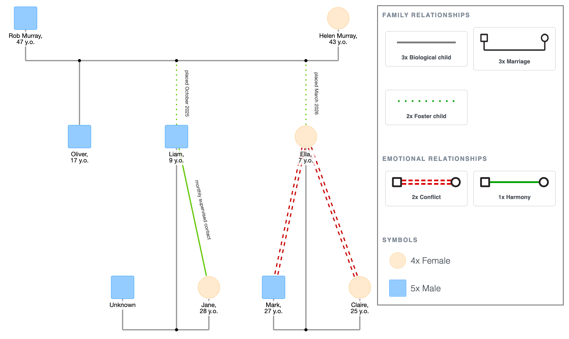 Foster Care Genogram Example