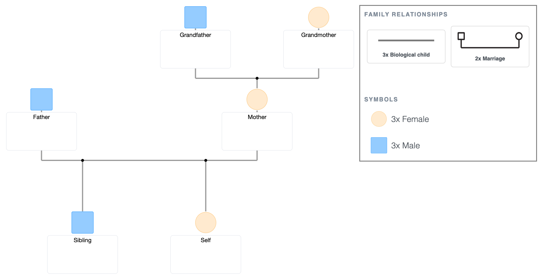 Student Assignment Genogram Template (PDF)