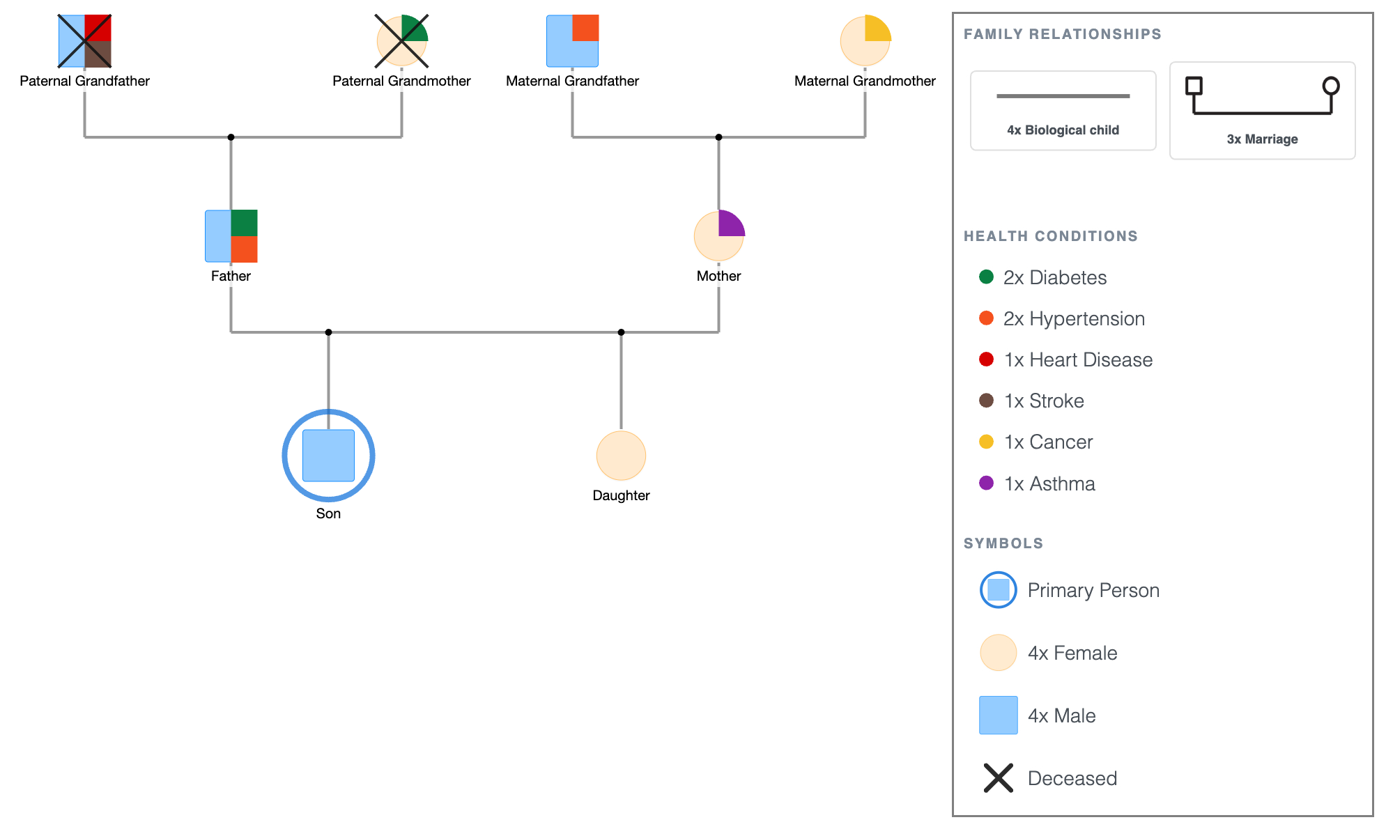 Healthcare Genogram Template